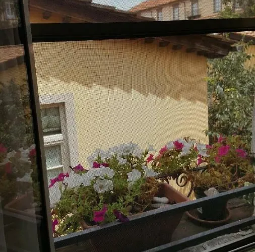 Mavi\'s bedrooms